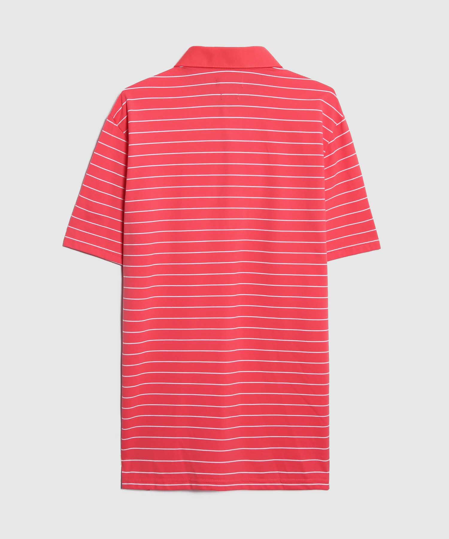 Polo Cuello Duro Bicolor