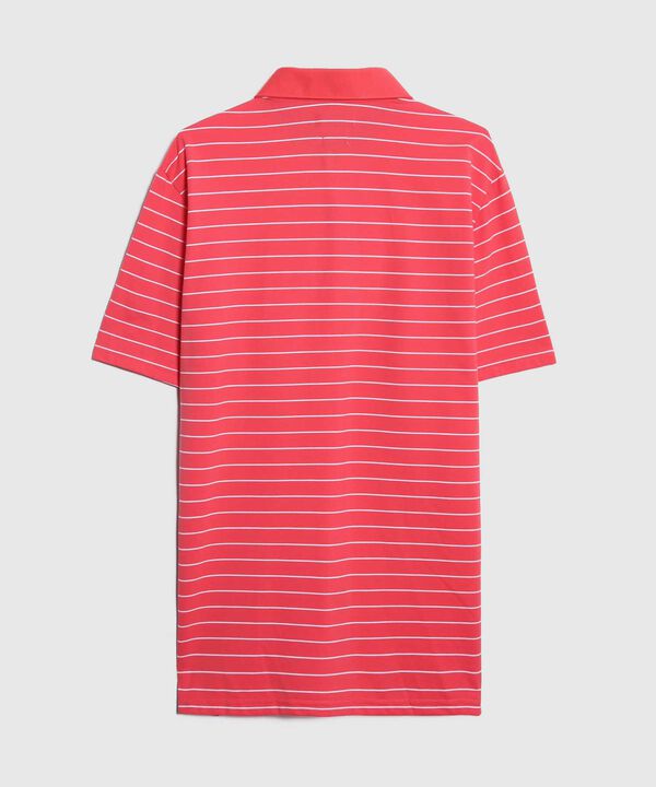 Polo Cuello Duro Bicolor